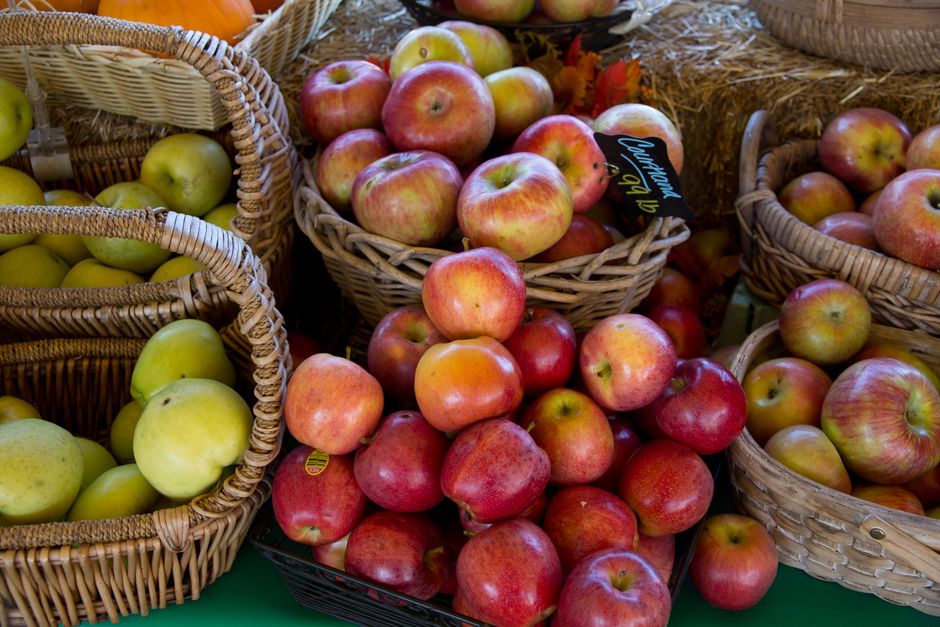 Quelle variété de pommes choisir pour une tarte réussie